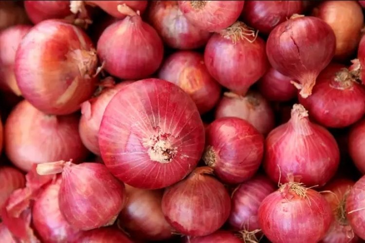 Economics of Onions