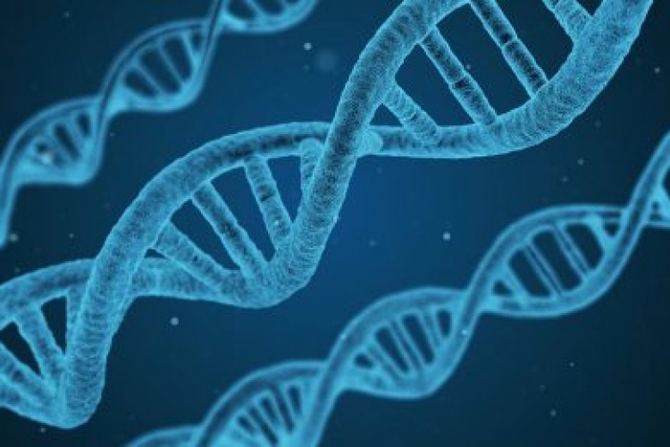 DNA REGULATION BILL