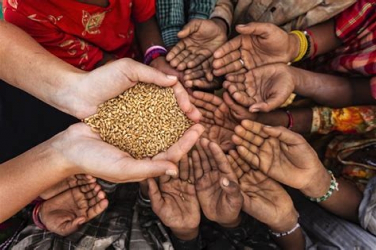 Global Hunger on Rise