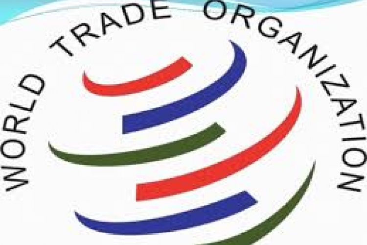 India asks WTO to set up panel against US