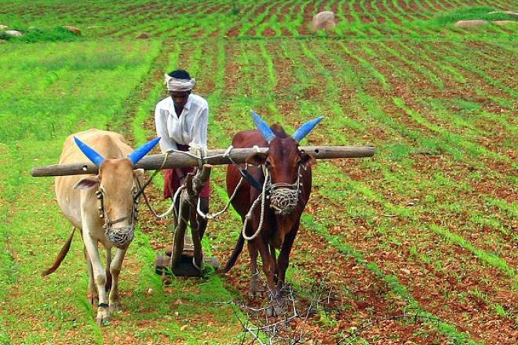 FARM LOAN WAIVER