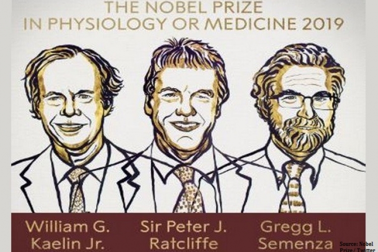 Everything you need to know about the Nobel in Medicine